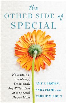 portada The Other Side of Special: Navigating the Messy, Emotional, Joy-Filled Life of a Special Needs mom [Soft Cover ] 