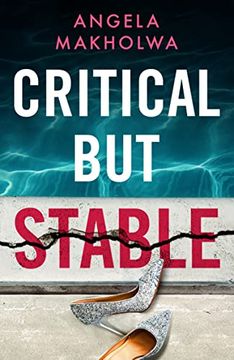 portada Critical but Stable (en Inglés)