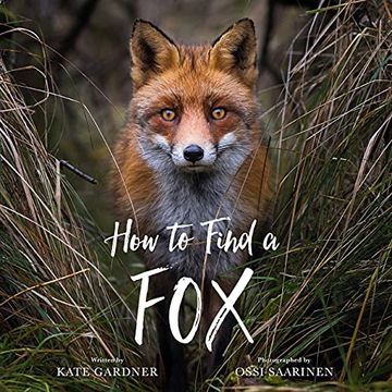 portada How to Find a fox (in English)