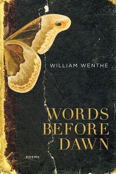 portada words before dawn (en Inglés)