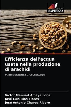 portada Efficienza dell'acqua usata nella produzione di arachidi (in Italian)