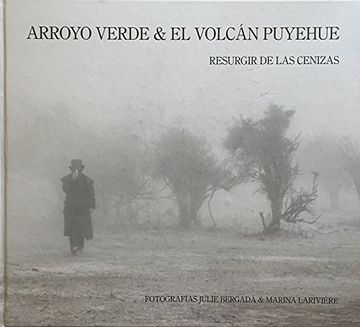 portada Arroyo Verde y el Volcan Puyehue (in Bilingue)