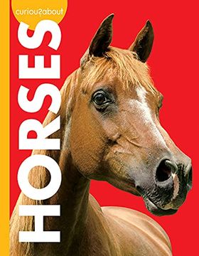 portada Curious About Horses (Curious About Pets) (en Inglés)