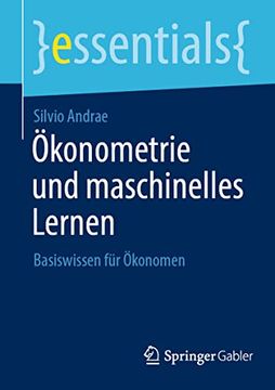 portada Ökonometrie und Maschinelles Lernen: Basiswissen für Ökonomen (in German)