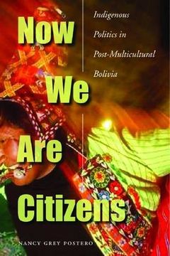 portada Now we are Citizens: Indigenous Politics in Postmulticultural Bolivia (en Inglés)
