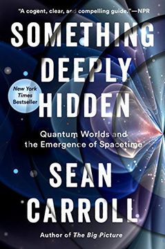 portada Something Deeply Hidden: Quantum Worlds and the Emergence of Spacetime (en Inglés)
