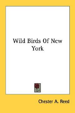 portada wild birds of new york (en Inglés)