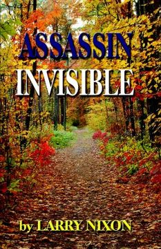 portada assassin invisible (en Inglés)