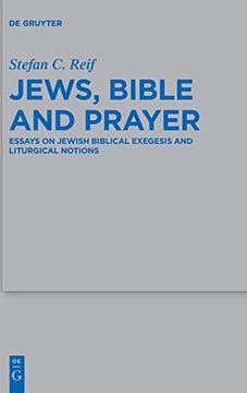 portada Jews, Bible and Prayer Essays on Jewish Biblical Exegesis and Liturgical Notions (en Inglés)