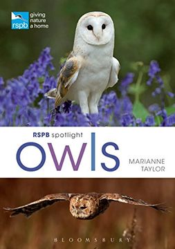 portada Rspb Spotlight Owls (en Inglés)