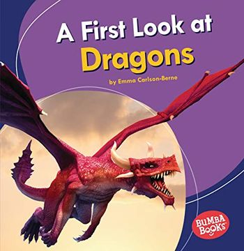 portada A First Look at Dragons (en Inglés)
