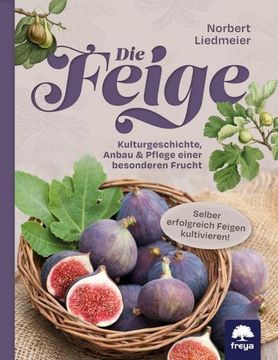 portada Die Feige (en Alemán)