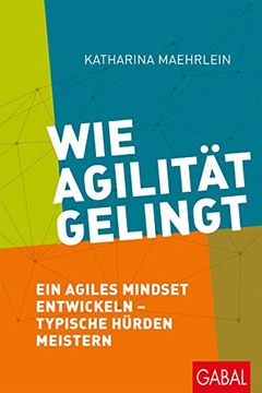 portada Wie Agilität Gelingt: Ein Agiles Mindset Entwickeln? Typische Hürden Meistern (Dein Business) (in German)