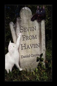 portada seven from haven