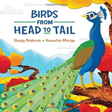 portada Birds From Head to Tail (en Inglés)