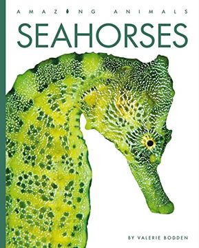 portada Seahorses (Amazing Animals) (en Inglés)