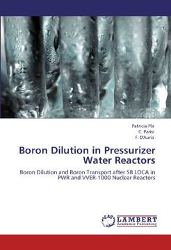 boron dilution in pressurizer water reactors (en Inglés)
