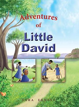 portada Adventures of Little David (Bible Adventures) (en Inglés)