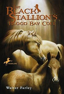 portada The Black Stallion's Blood bay Colt: (Reissue) (en Inglés)