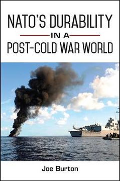 portada Nato's Durability in a Post-Cold war World (in English)