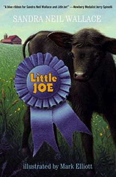 portada Little joe (en Inglés)