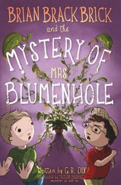 portada Brian Brackbrick and the Mystery of Mrs Blumenhole (en Inglés)