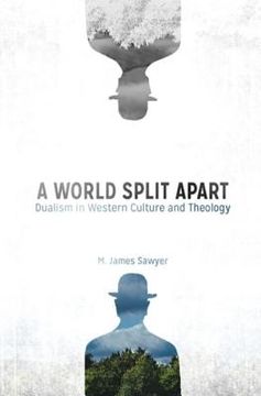 portada A World Split Apart: Dualism in Western Culture and Theology (en Inglés)