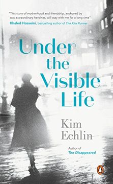 portada Under the Visible Life (en Inglés)