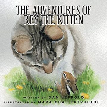 portada The Adventures of rey the Kitten 