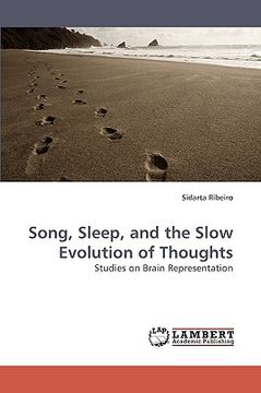 portada song, sleep, and the slow evolution of thoughts
