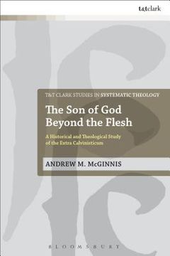 portada The Son of God Beyond the Flesh (en Inglés)