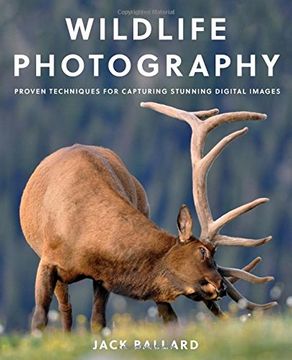 portada Wildlife Photography: Proven Techniques for Capturing Stunning Digital Images (en Inglés)