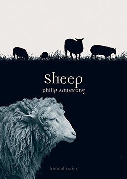 portada Sheep (Animal)
