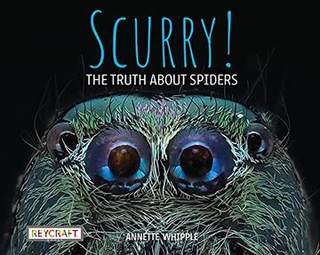 portada Scurry! The Truth About Spiders| Full of fun Facts, Photographs, Illustrations, & all Your Questions Answered | Reading age 7-10 | Grade Level 2-3 | Nonfiction Science & Nature | Reycraft Books (in English)