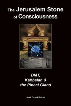 portada The Jerusalem Stone of Consciousness: Dmt, Kabbalah and the Pineal Gland (in English)