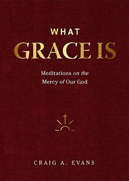 portada What Grace is: Meditations on the Mercy of our god (in English)