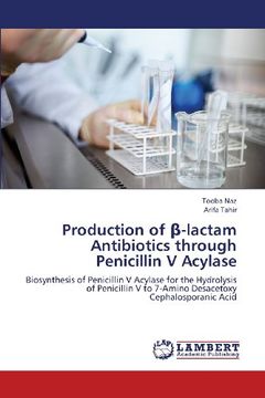portada Production of -Lactam Antibiotics Through Penicillin V Acylase