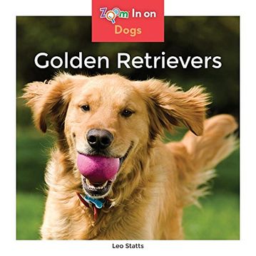 portada Golden Retrievers (Zoom In on Dogs) (en Inglés)