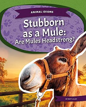 portada Stubborn as a Mule: Are Mules Headstrong? (en Inglés)