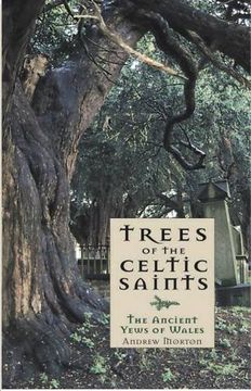 portada Trees of the Celtic Saints Â The Ancient Yews of Wales