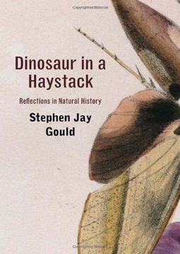 portada Dinosaur in a Haystack: Reflections in Natural History 