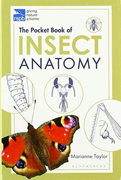 portada The Pocket Book of Insect Anatomy (Rspb) (en Inglés)