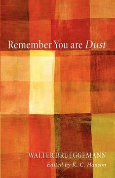 portada remember you are dust (en Inglés)