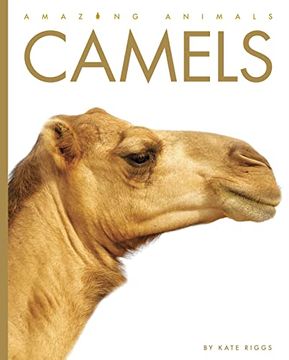 portada Camels (Amazing Animals) (in English)