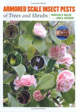 portada Armored Scale Insect Pests of Trees and Shrubs (Hemiptera: Diaspididae) (Comstock Book) (en Inglés)