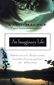 portada An Imaginary Life (Vintage International) (en Inglés)