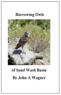 portada Burrowing Owls of Sand Wash Basin (in English)