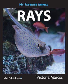 portada My Favorite Animal: Rays (en Inglés)