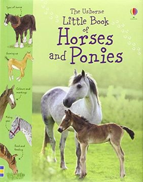 portada Little Book of Horses and Ponies (Little Books)
