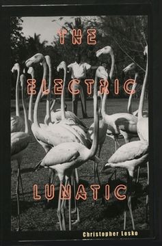 portada The Electric Lunatic (en Inglés)